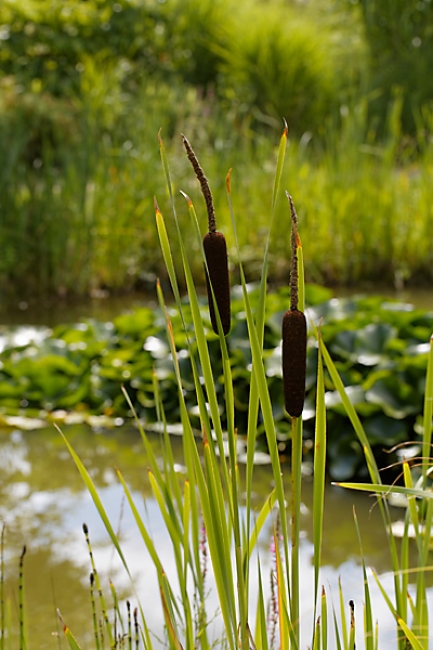 Jardin des Impressionnistes-108